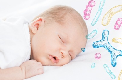CARE4U® 2'FL 岩藻糖基乳糖 (母乳寡糖 Human Milk Oligosaccharides, HMOs)營養補充，益生質