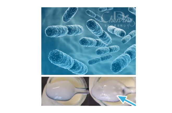 發酵用菌 YO-MIX系列