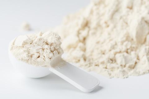 乳清蛋白(动物性蛋白)