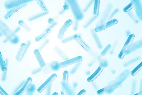 Fermentation Bacteria