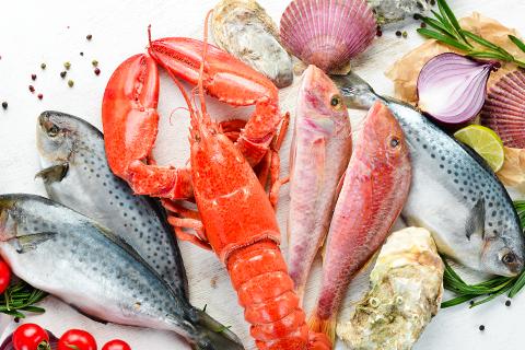 Seafood Powders