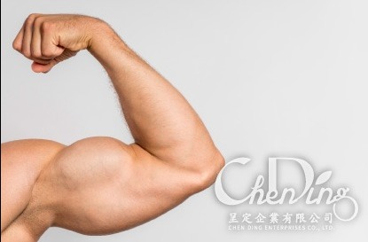 提升肌肉量，支持健康老化