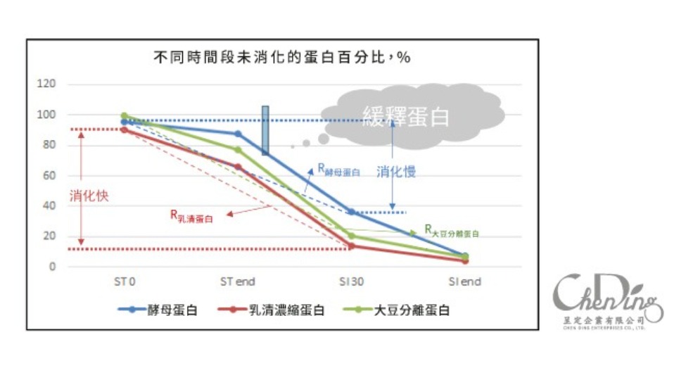 具緩釋特性,屬於慢蛋白