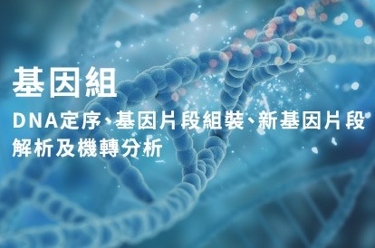 基因組