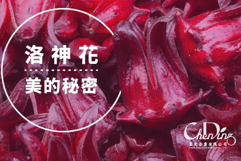 美的秘密—洛神花