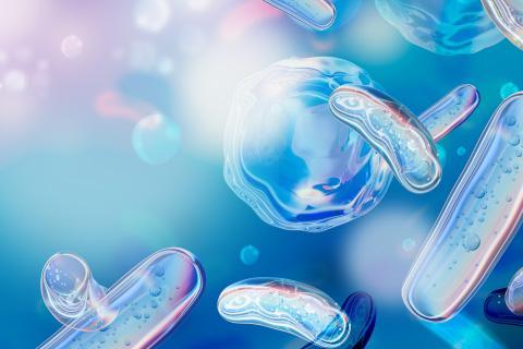 益生菌好處多，怎麼選？HOWARU益生菌大優勢一次解析！